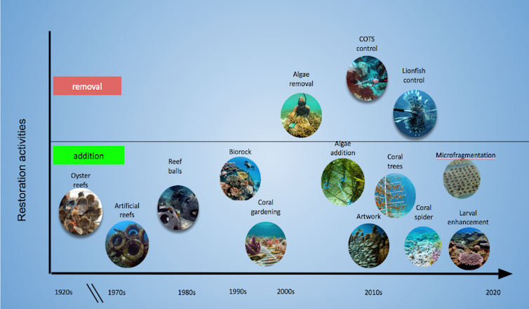 The science and art of reef restoration