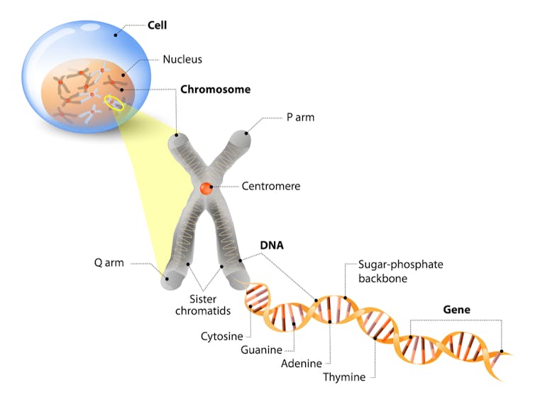 genetic profiling pros and cons