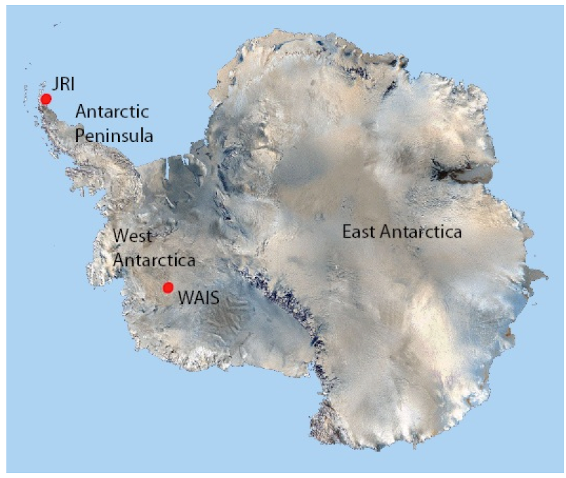 Explainer: What Is Happening To Antarctica's Ice?