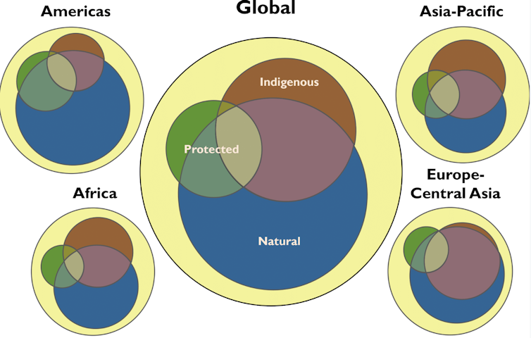 Indigenous peoples are crucial for conservation – a quarter of all land is in their hands