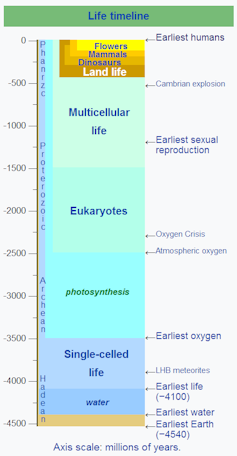 Pigments from microbes provide clue to evolution in ancient oceans – but weren't pink a billion years ago