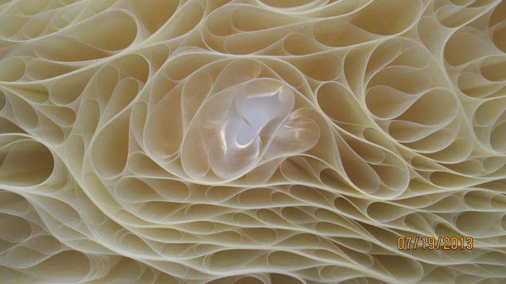 Biomimétisme : passer d’un modèle économique « bio-aspiré » à un modèle ...