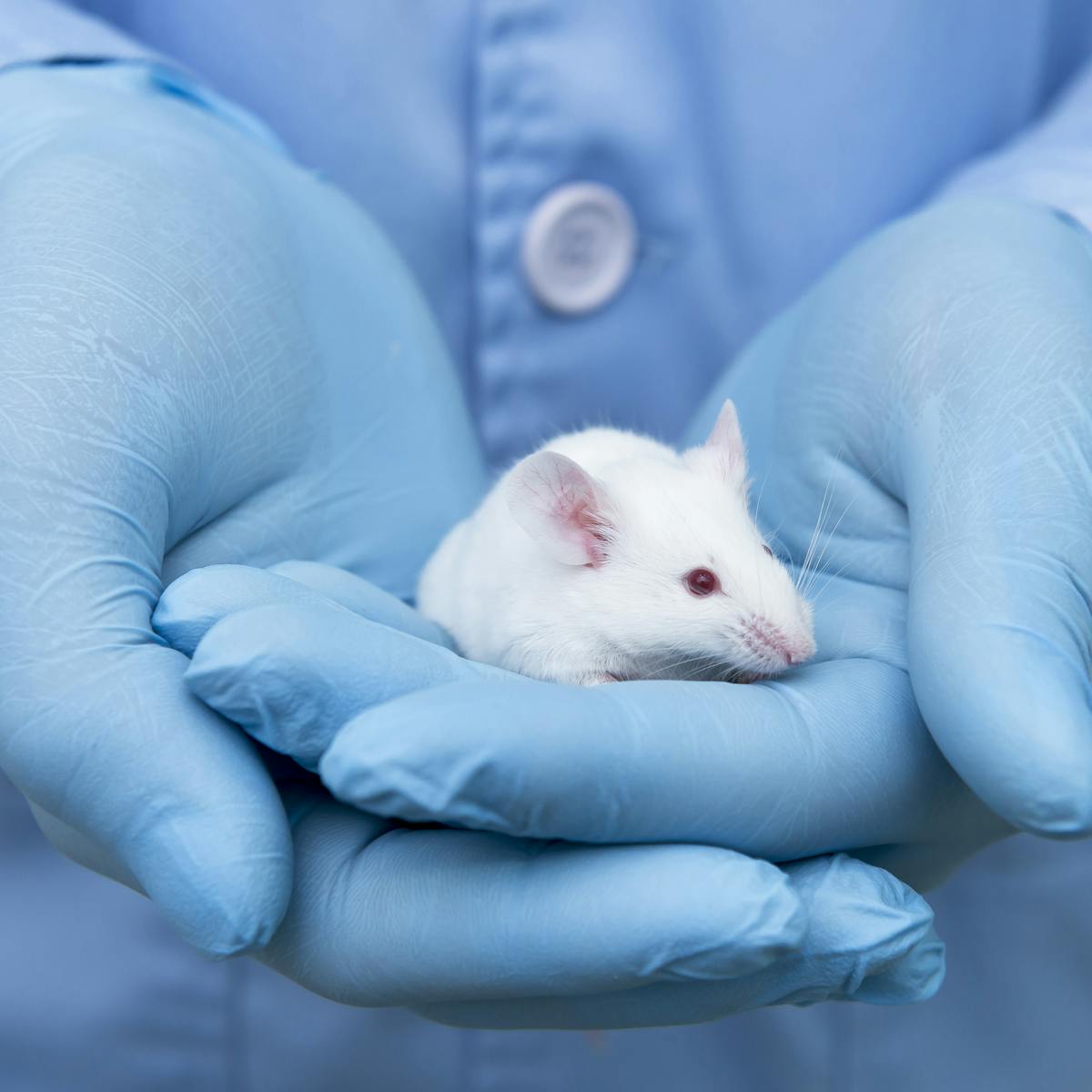 Breakthrough could end animal testing in carcinogen research