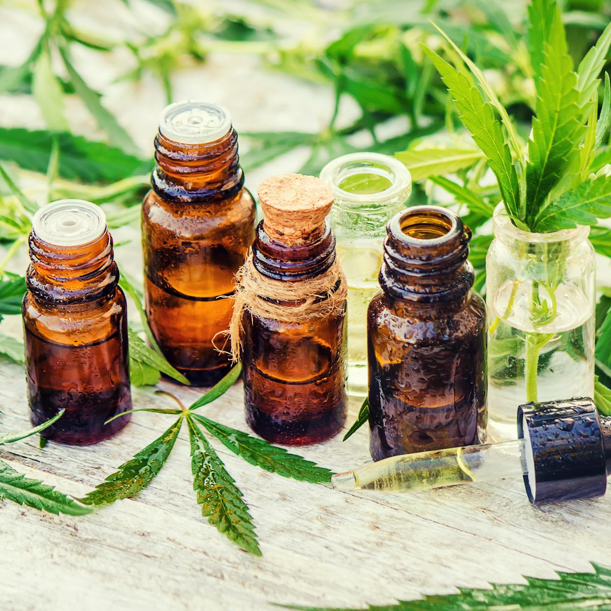 CBD oil, THC and what you can legally use in Indiana