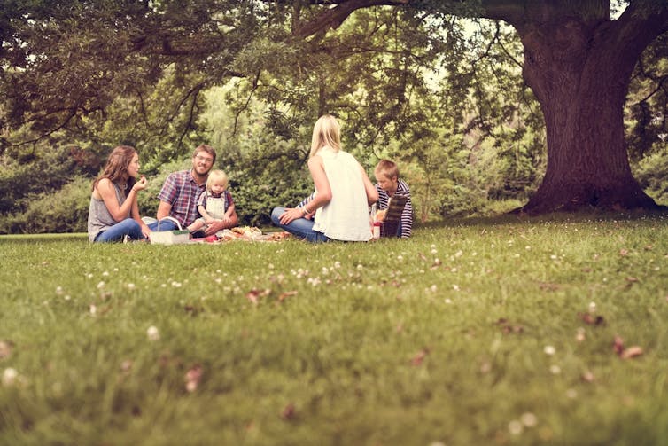 Do 'screaming children' in playgrounds ruin neighbourhood parks?