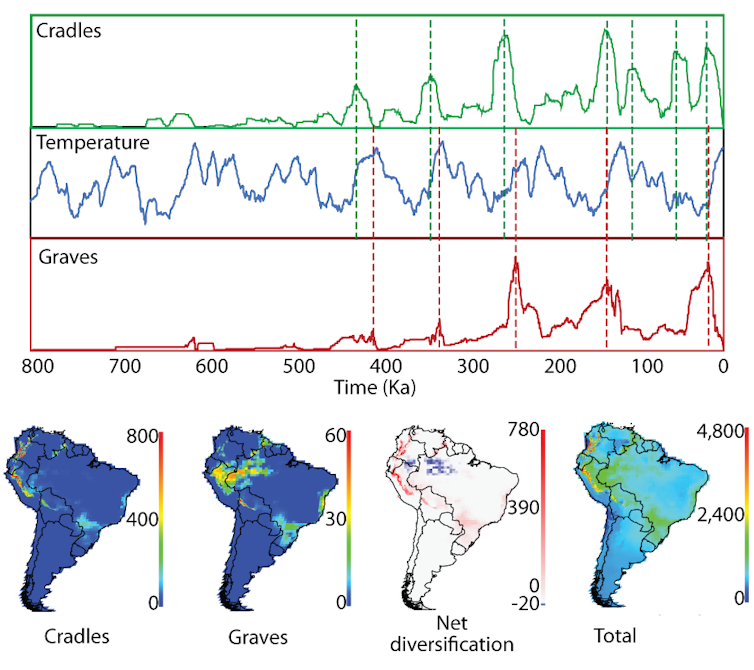 How virtual worlds can recreate the geographic history of life