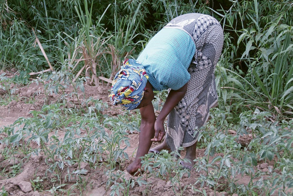 The Projects That Are Helping Zambian Women Get Better Access To Land
