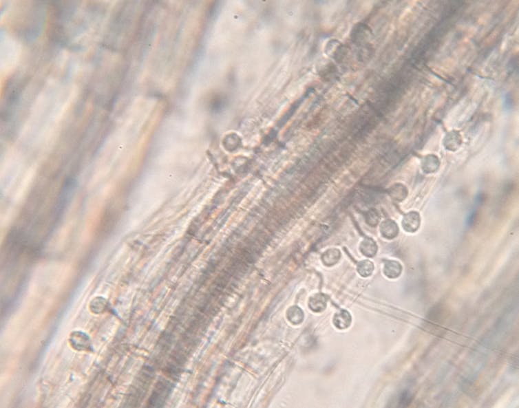 File 20180719 142417 14wj3wh.jpg?ixlib=rb 1.1