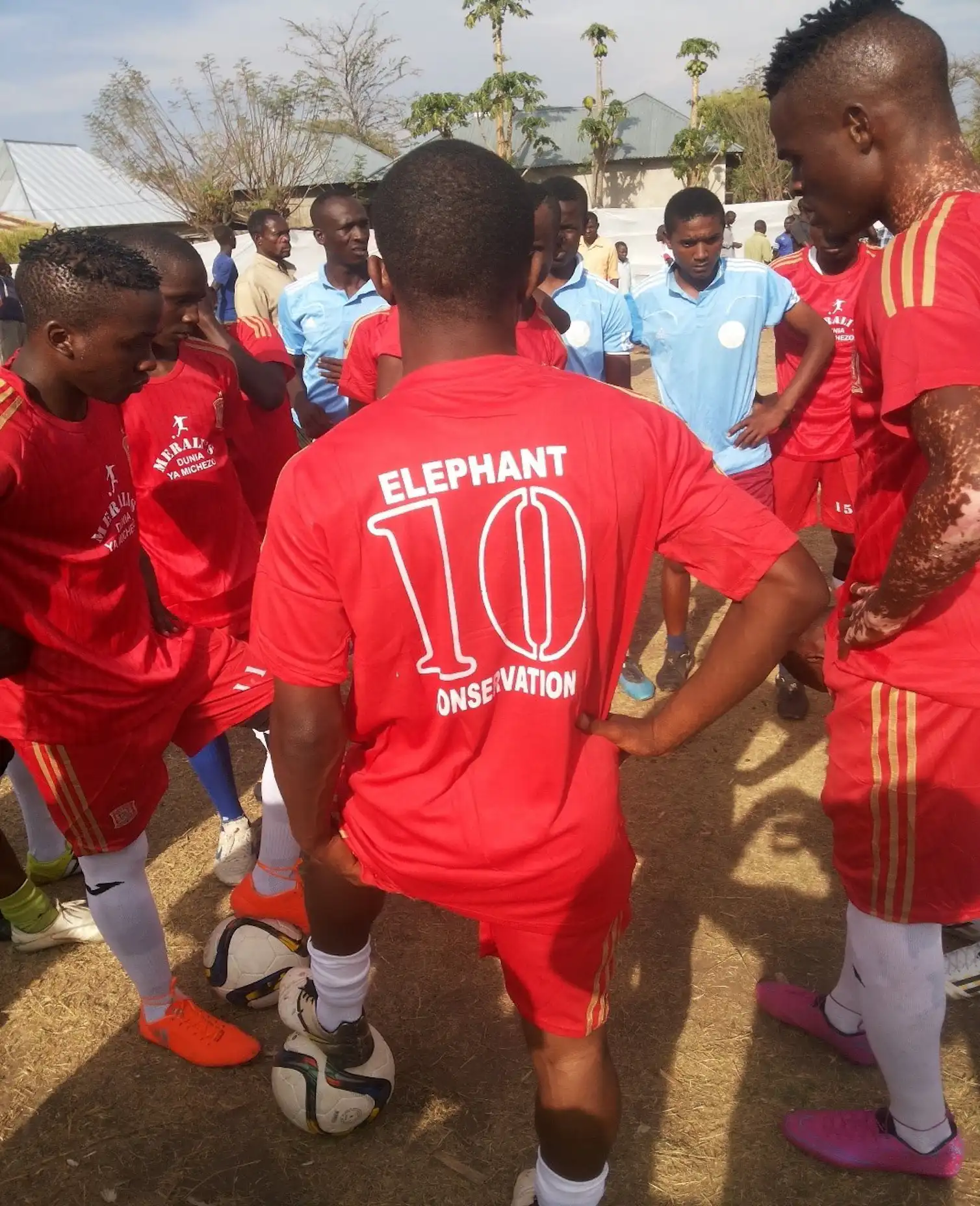 How soccer games can help protect wildlife