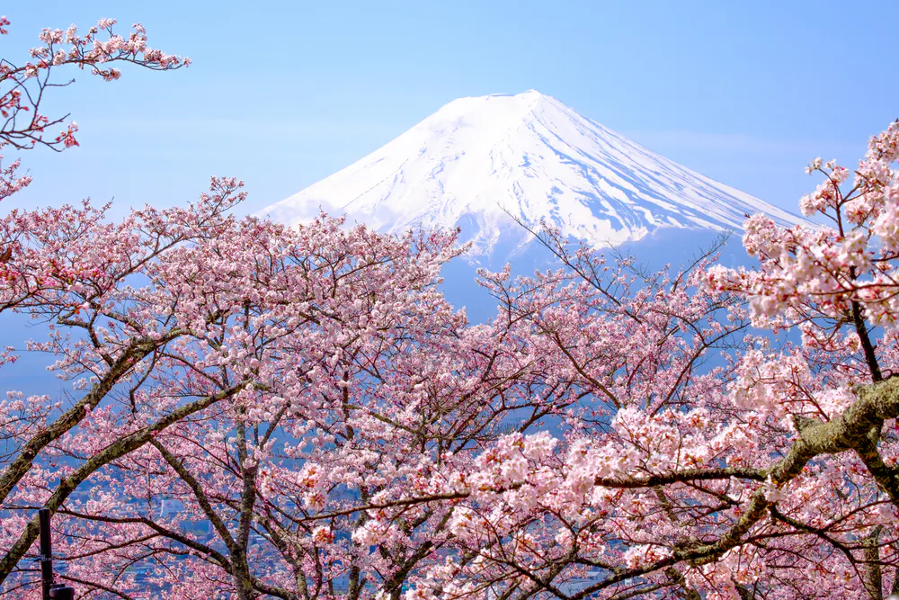 Guide To The Classics The Tale Of Genji A 1 000 Year Old Japanese Masterpiece Guide To The Classics The Tale Of Genji A 1 000 Year Old Japanese Masterpiece