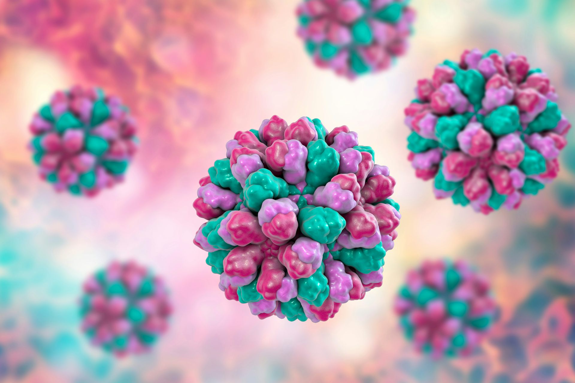 Norovirus A Summer Outbreak Could Lead To A Winter Crisis   File 20180720 142420 1l8p1ax 