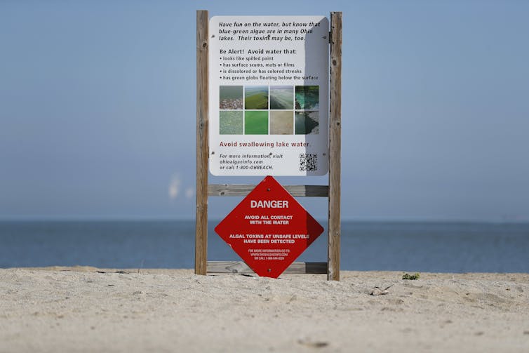 What's the value of a clean beach? Here's how economists do the numbers