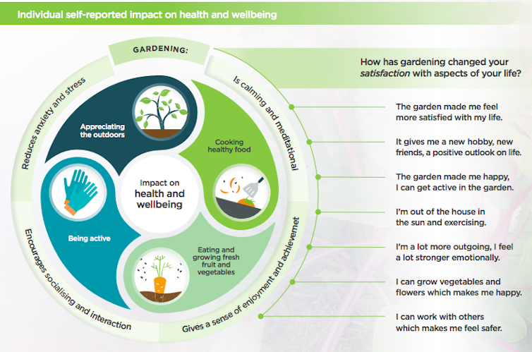 Gardening improves the health of social housing residents and provides a sense of purpose