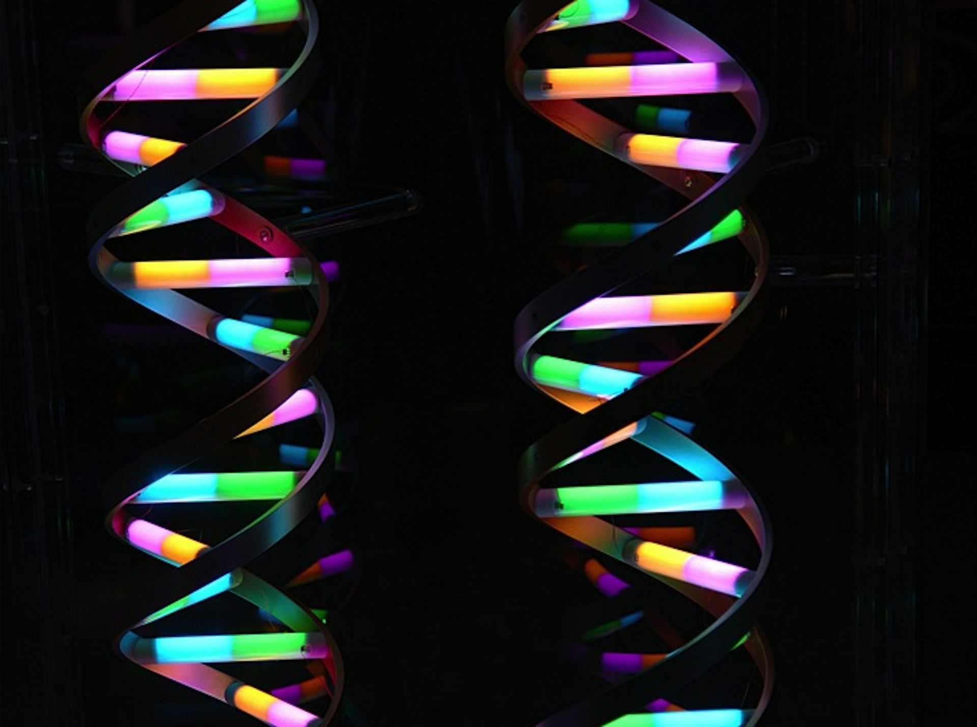 An Insider s Account Of The Human Genome Project