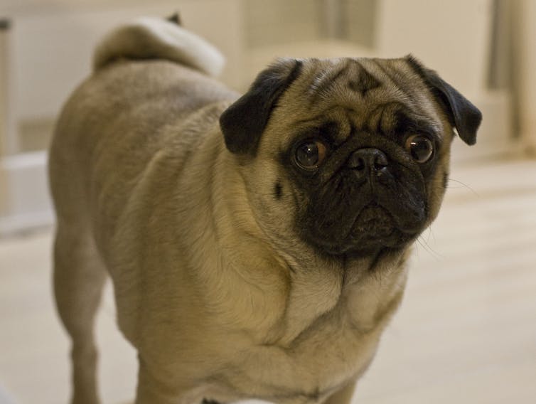 File 20180723 189335 ay9ify.jpg?ixlib=rb 1.1