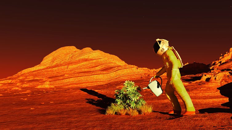 impressing moment botanists discovering plants thrive on mars soil