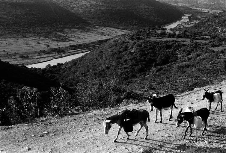 File 20180726 106505 1gq3tsm.jpg?ixlib=rb 1.1