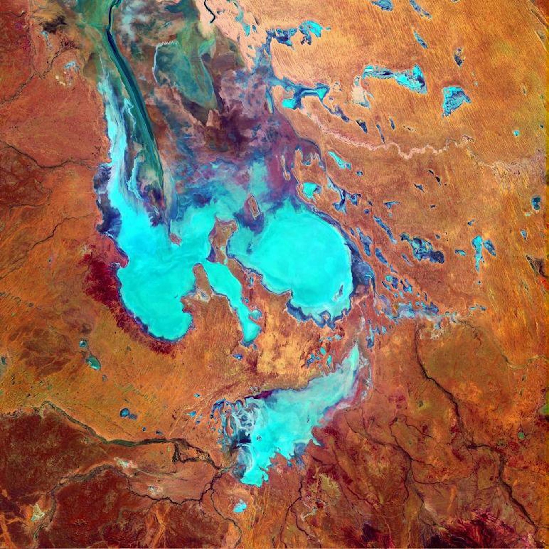 озеро эйр норт австралия