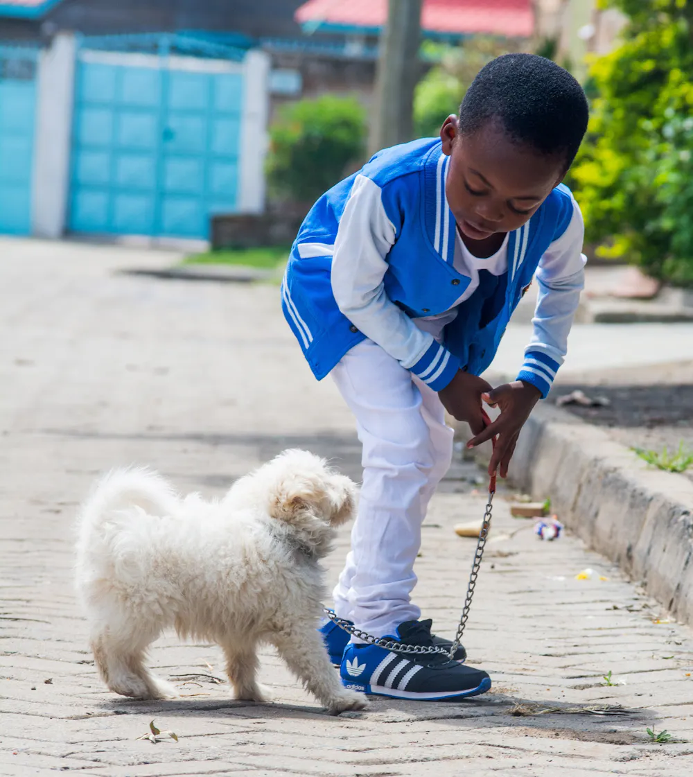 How Far Should A 10 Year Old Dog Walk how-far-should-a-10-year-old-dog-walk