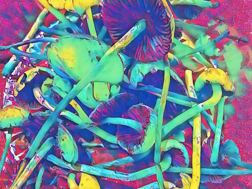 The Real Promise Of Lsd Mdma And Mushrooms For Medical Science The Real Promise Of Lsd Mdma And Mushrooms For Medical Science