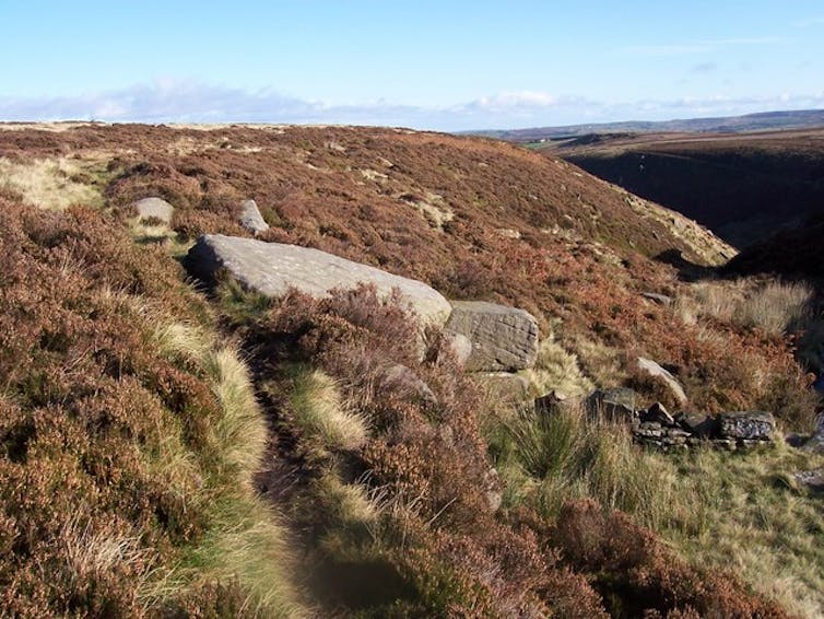 Why Emily Brontë’s Wuthering Heights is a cult classic