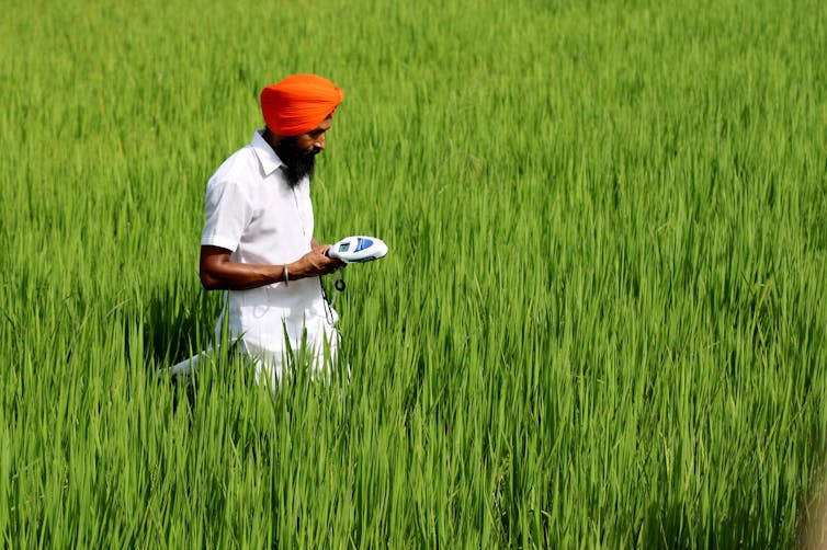 File 20180730 106496 1k0jgcd.jpg?ixlib=rb 1.1