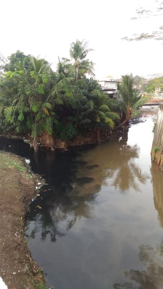Pencemaran Sungai Jakarta Dan Solusinya Bukan Sekadar Waring