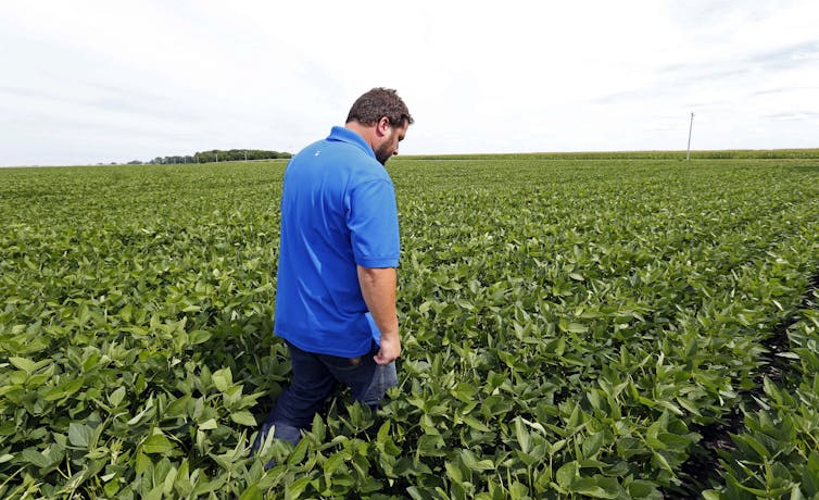 File 20180730 106517 rpoxh6.jpg?ixlib=rb 1.1