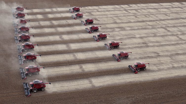 American farmers want trade partners not handouts – an agricultural economist explains