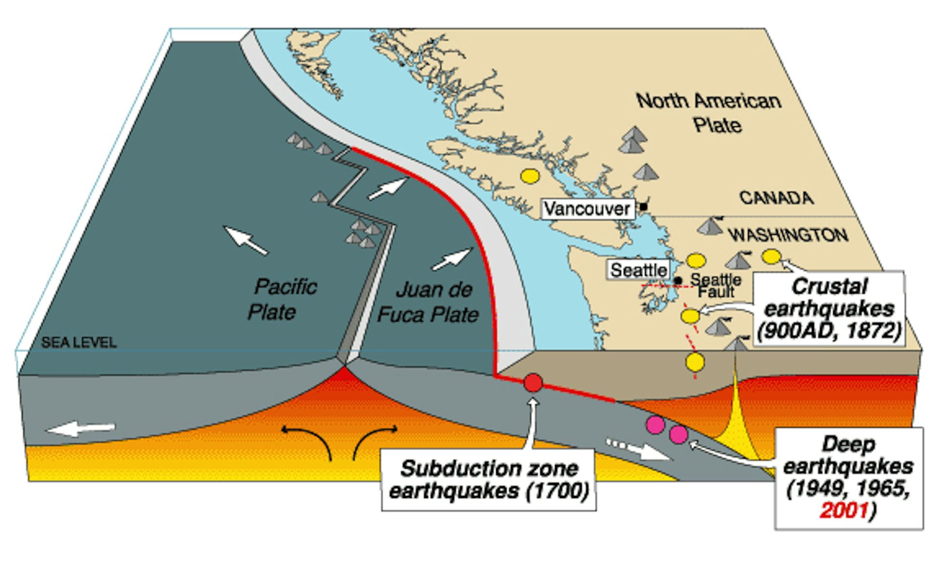 pacific northwest earthquake