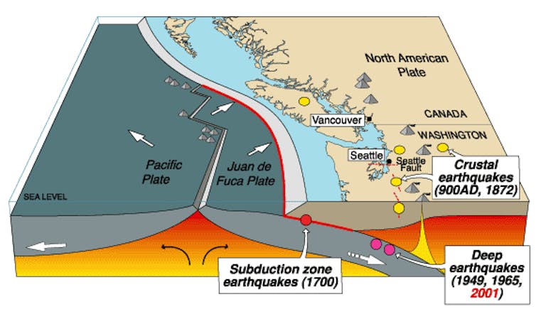 Parts of the Pacific Northwest's Cascadia fault are more seismically active than others – new imaging data suggests why