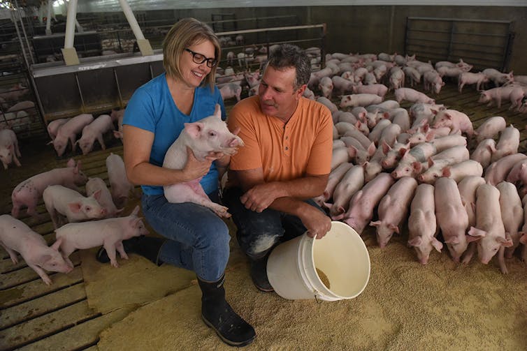 American farmers want trade partners not handouts – an agricultural economist explains