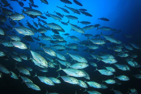 Boating Maps Maritime Safety Queensland Boating Maps Maritime Safety Queensland