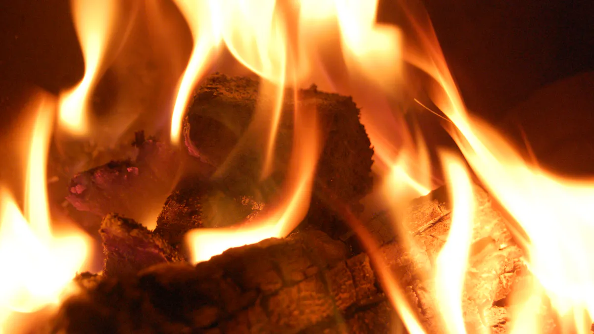 Curious Kids What Is Fire
