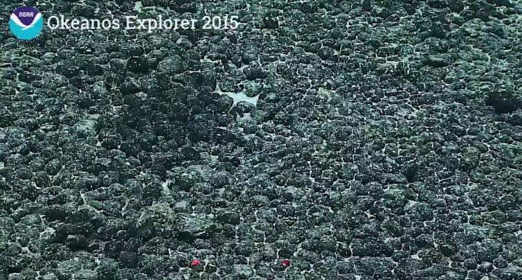 A pavement of manganese nodules near the Hawaiian islands. (NOAA Office of Ocean Exploration and Research)