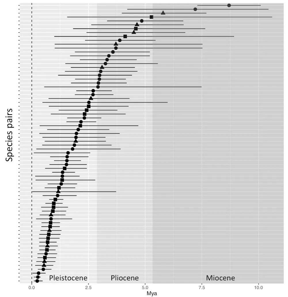 Bird DNA helps explain Amazonian rivers’ role in evolution