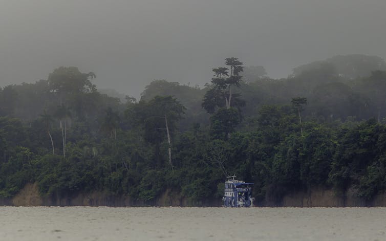 Bird DNA helps explain Amazonian rivers' role in evolution