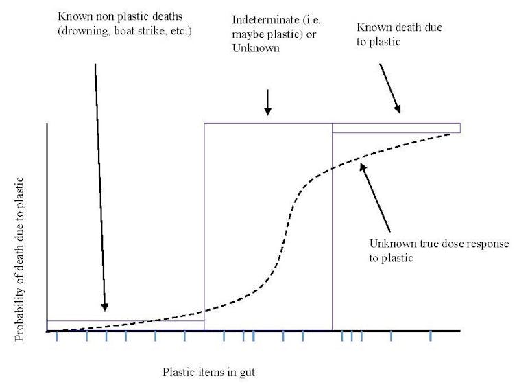 GRAPH. Conceptual framework for estimating the probability of death due to plastic debris ingestion. Figure provided by the authors
