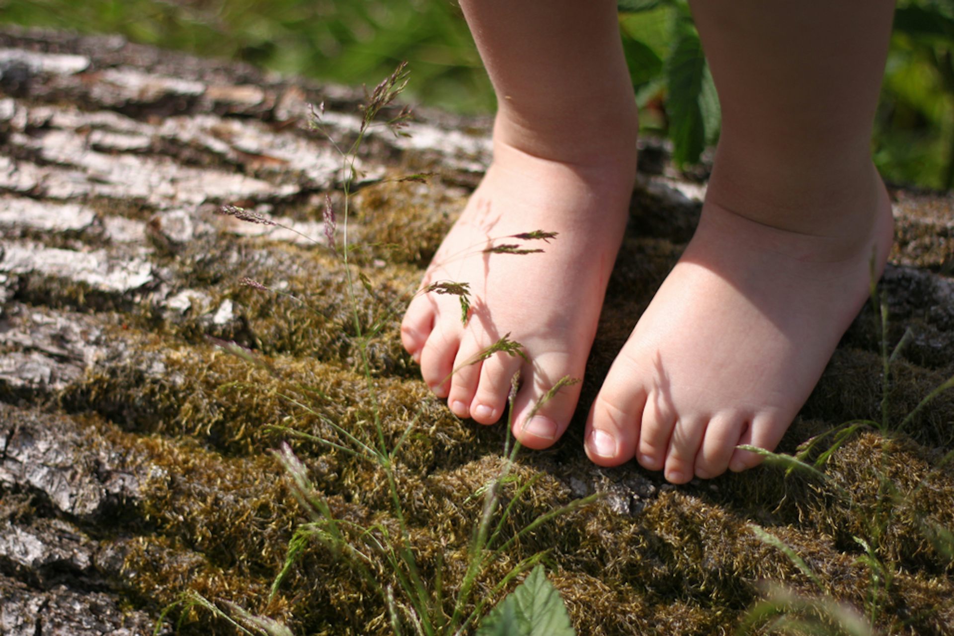 barefoot more