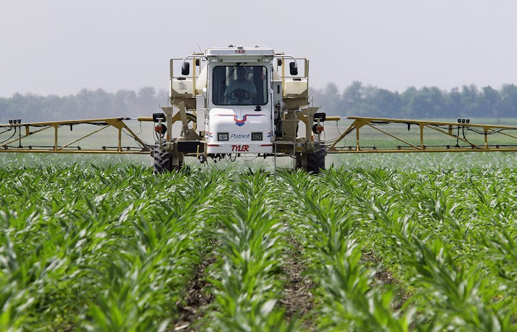 Does Monsanto's Roundup cause cancer? Trial highlights the difficulty of proving a link