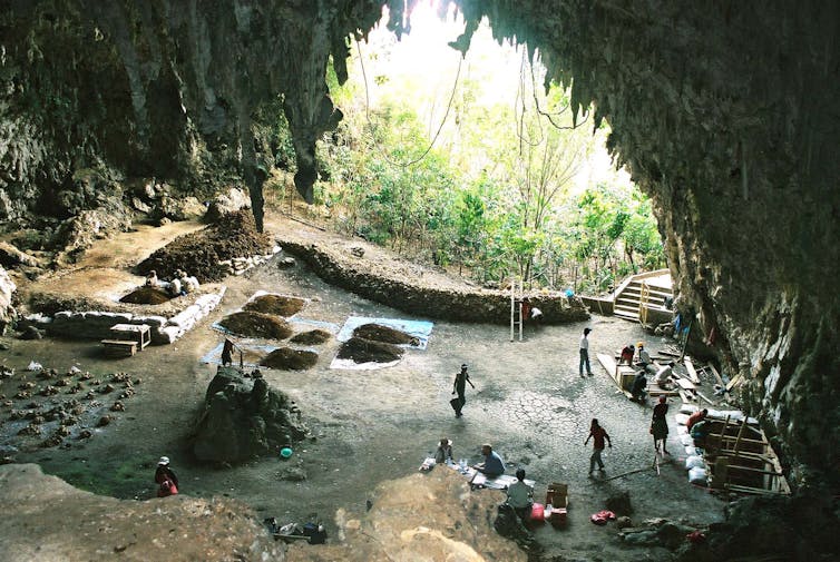 We know why short-statured people of Flores became small – but for the extinct 'Hobbit' it's not so clear