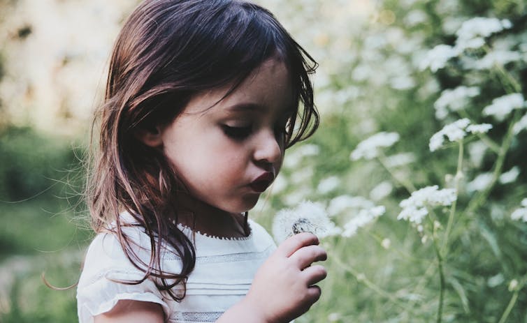 A little girl blows on a dandelion flower