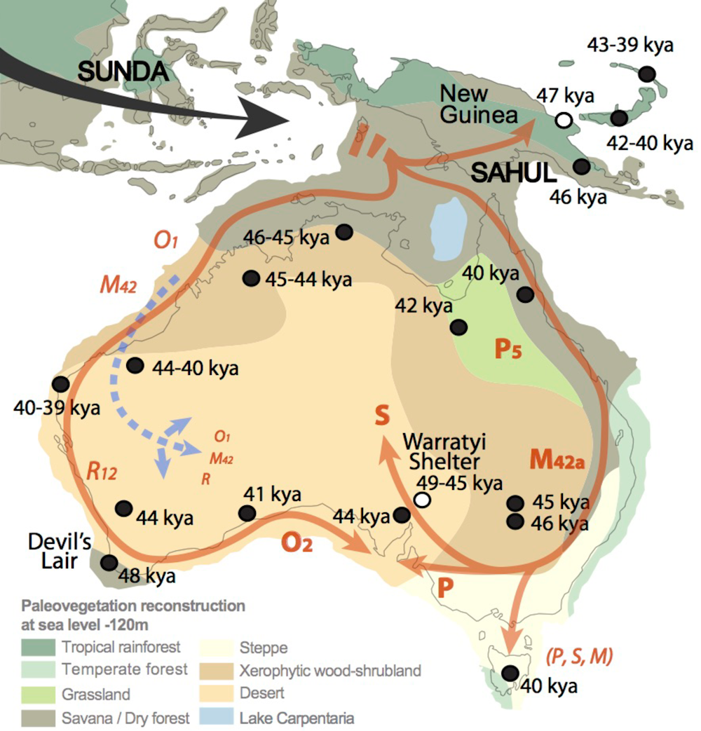 nordøst Og hold gået i stykker When did Aboriginal people first arrive in Australia?