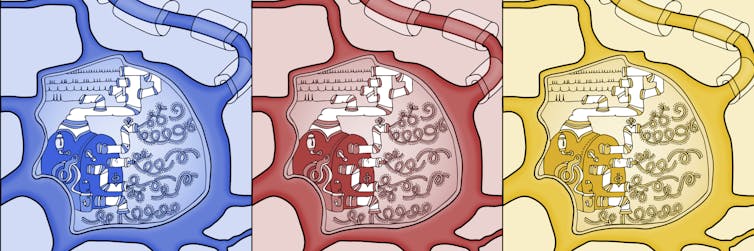 Brains keep temporary molecular records before making a lasting memory