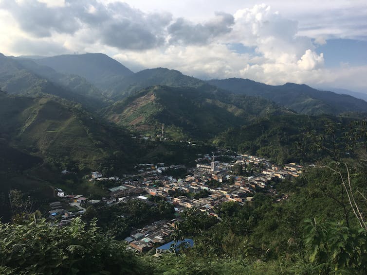 Cafeteros en Colombia luchan por adaptarse a un clima cambiante