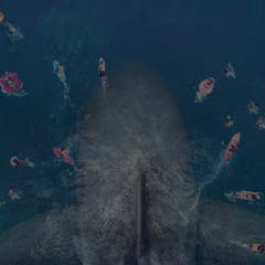 Shark attacks – information, recherche et analyse – La Conversation