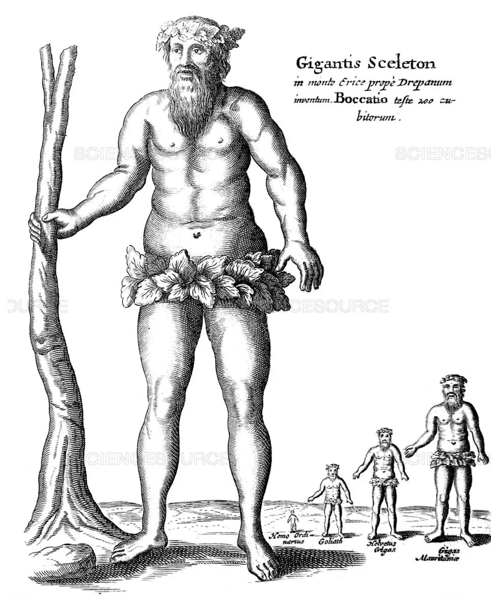 giganti — Imagine 5 Giants: why we needed them