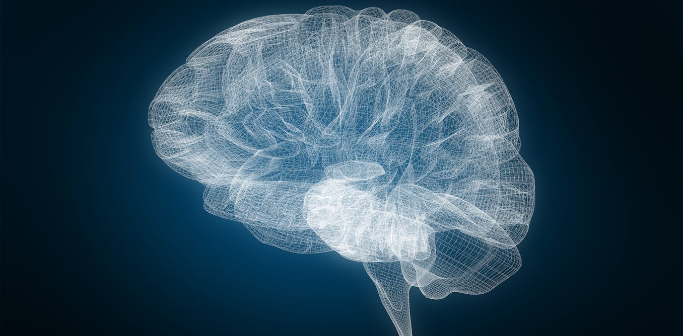 download norbert elias and human interdependencies