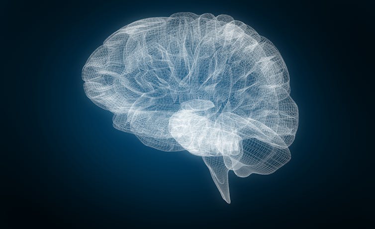 File 20180807 191038 rxccp2.jpg?ixlib=rb 1.1