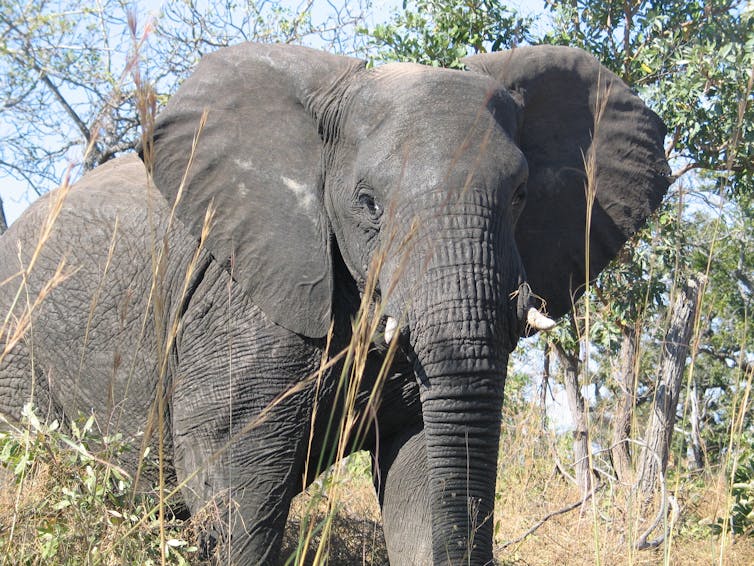 File 20180807 1652 1fmdlm1.jpg?ixlib=rb 1.1